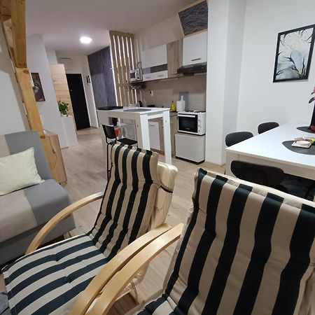 Apartmani S - Dsn Kraljevo Dış mekan fotoğraf
