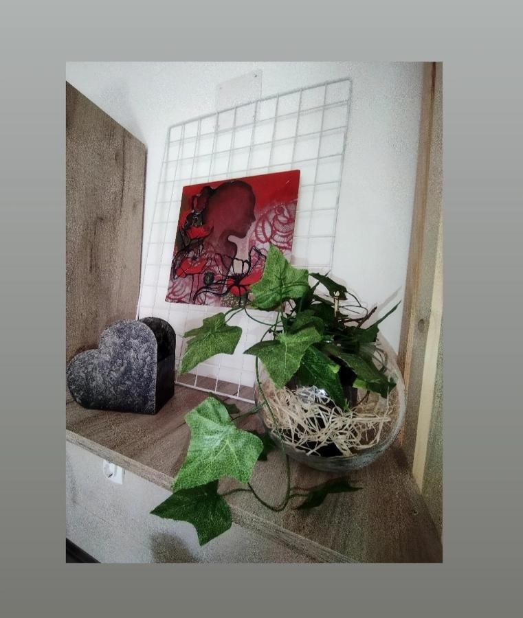 Apartmani S - Dsn Kraljevo Dış mekan fotoğraf